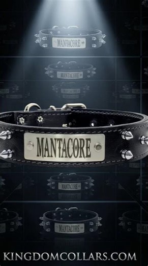 Kingdom Collars | 1.5" Black Italian Leather Spiked Dog Collar | Custom Engraved