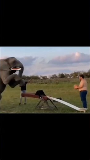 Got Triggered 😞 #comedy #trending #funny #voiceover #memesfactory #video #shorts