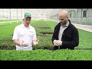 BrightFarms' Earth Day Greenhouse Tour