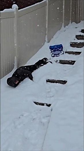 Snow Day! 3 Funniest Sledding Fails 😂| ‪@TheBozzCrew‬