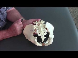 Sacral AKA Sacrum Motion Testing for SIJD Sacroiliac Joint Movement Dysfunction