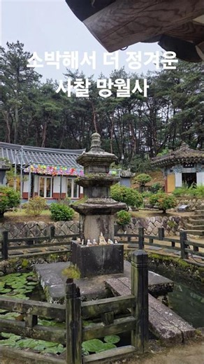 #경주망월사#삼층석탑#경주남산#경주여행#경주가볼만한곳#경주사찰여행#,망월사