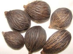 Palm Seeds - Wholesale Price & Mandi Rate for Palm Tree Seeds in India