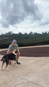 40 reactions · 3 comments | Well done @jeffreylong1316 & David! 凉 | Java Republic | Facebook