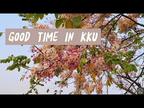 A Mellow Drive Through Khon Kaen University – Summer Calm & Campus Vibes