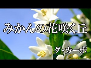 みかんの花咲く丘 / ダ・カーポ (歌詞入り)