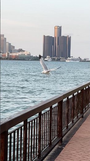 Scenic view of Detroit, U.S., skyline across the Detroit River from Windsor, Canada. #detroitriver