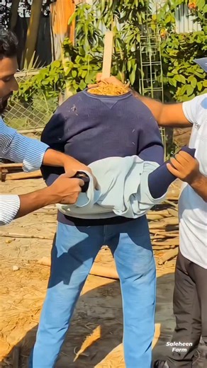 S Farm on Instagram: "How we made a simple scarecrow with farm materials! 🧟‍♂️🐦 #scarecrow #farm #hallowen"