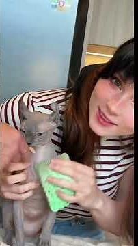 My first tutorial :3 #cat