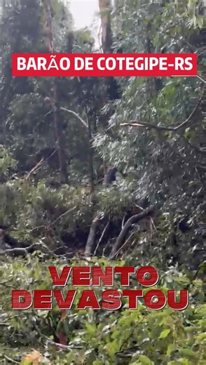 Rádio A Voz Erechim on Instagram: "🌬️ VENTO FORTE DEIXA RASTRO EM BARÃO DE COTEGIPE Na tarde desta quarta-feira (24), um forte vento provocou transtornos na Linha Saracura, no interior do município de Barão de Cotegipe. De acordo com as informações, árvores de grande porte caíram sobre a estrada, bloqueando totalmente a via e dificultando a passagem de veículos. 🚒 Os Bombeiros Voluntários de Barão de Cotegipe foram acionados e realizaram o trabalho de desobstrução da estrada, garantindo a segu