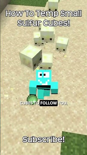 How To Make A Small Sulfur Cube Follow You In Minecraft?!