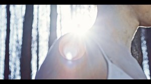 12K views · 204 reactions | Hey! Die zweite Single zum neuen Album erscheint diesen Donnerstag! Freut euch auf "Imperator Rex Graecorum"! | Subway to Sally | Facebook