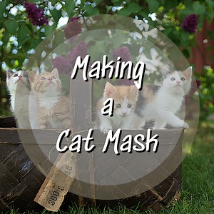 How to Make a Cat Mask ( 3 More Masks)
