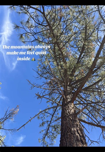 A picnic in the mountain’s hits different, you must try it! Comment location if you are near Hemet/San Jacinto so you can sleep explore this little gem! #sahmtok #fyp #foryoupage #sahmlife #mountain