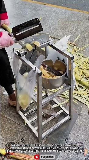 Sugarcane Cutter Tool for Easy Serving #ToolHolder