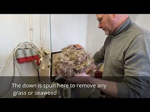 Icelandic Eiderdown: Tradition, Warmth, and Sustainability