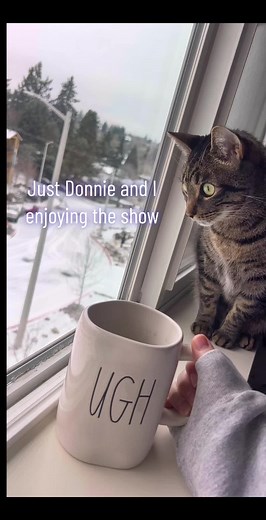 But that’s none of my business. #oregon #salem #icestorm #winterwonderland #juststayinsideitsreallynotthathard #christmas #drivinglessons