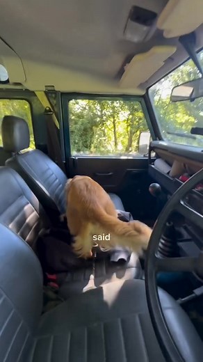 Chief farm helper BLUE TIT!!! ---- | overintherover