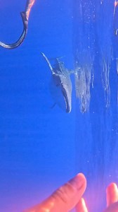 What did you expect? 😮‍💨 | Em Lethlean