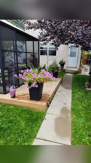 Walter Henry on Reels