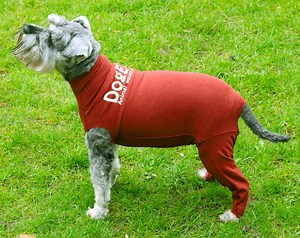 DogEase-Back Leg Suit