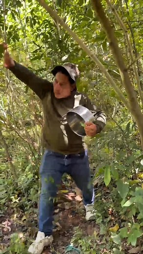 970K views · 23K reactions | Quedó como el apocalipsis 來來來 #humorespañol #humorviral #humor | Omar Tv | Facebook