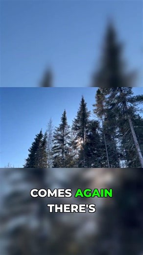 I Didn't Know About Winter Sun Angles Until It Was Too Late #offgrid #solarpanels #lesson