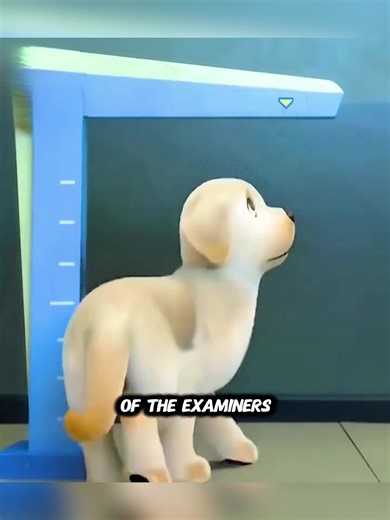 The Inspiring Journey of a Little Guide Dog