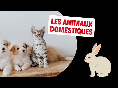 Les Animaux Domestiques de France