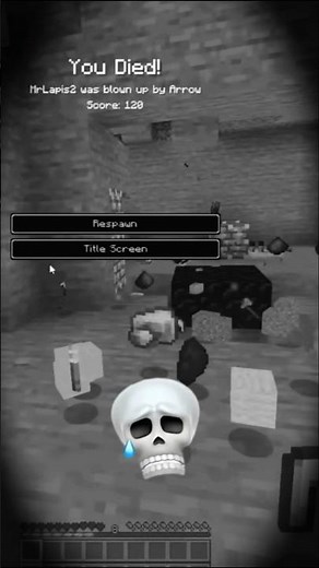 PSD1 Insan Deathswap With Mr.Lapis💀😎 #minecraft #trollface #gaming