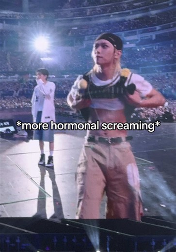 Stray Kids Concert Experience: A Fangirl's Last Video