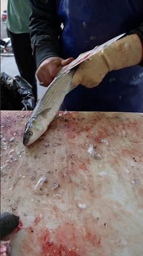 Simple Method to Scale and Cut Grey Mullet Fish