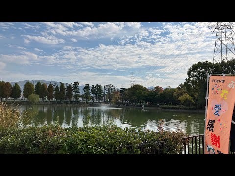 弁天池公園ふれあい感謝祭