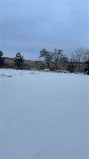 A mindful minute for ND women who wake up already overstimulated. Winter quiet gives your nervous system a place to settle. Slow living is not a trend. It is a regulation tool, a grounding ritual, and the moment your body remembers how to breathe again. If silence feels like safety, you are not alone. Join us for mindful lives and daily winter calm. #NDwomen #womenover40 #nervoussystemhealing | S O Revival Co Rituals, EF Tools, Folklore