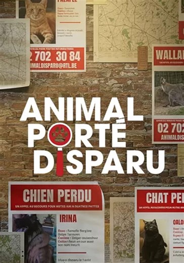 Regarder la série Animal porté disparu streaming