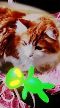 Alien tries to make friends with cats #catshorts #cats #catvideos #cute #cat