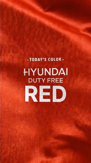 여행자의 컬러 헌팅 I ICN GRAND OPEN Colorhunting❤️