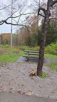 Cumberland Mountain State Park -- Quiet Tennessee Camping