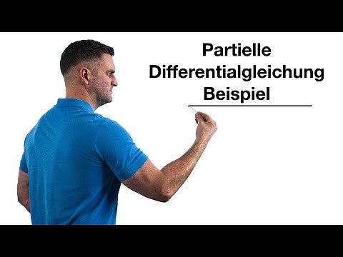 Partial Differential Equation Example | Math by Daniel Jung