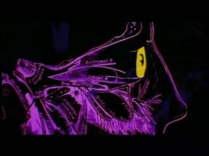 Re-Animator opening credits