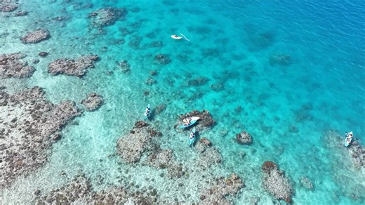 ⛵ Sail away to paradise for the day with Captain Cook Cruises Fiji! 🌴✨ Join us for a day filled with turquoise waters, soft white sand, and unforgettable memories in Fiji. This is more than a cruise – it’s your chance to discover untouched beauty.�🐠 Snorkel vibrant reefs�🤿 Dive into crystal-clear lagoons�🏄 Paddleboard across turquoise shallows�🌿 Take guided nature walks�🔬 Learn from our onboard marine biologists about Fiji’s incredible marine life From adventure to relaxation, it’s the ult