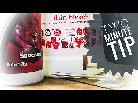 How to clean a CO2 diffuser - Two Minute Tips