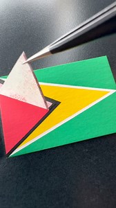 1.7M views · 24K reactions | GUYANA  #flag ¿siguiente? / next? | Alexchipi11 | Facebook