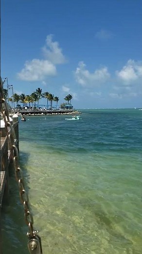 Tiki Bar at Three Waters Resort & Marina | Epic Vibes in Islamorada Florida Keys 🍹🌴 #travel #beach