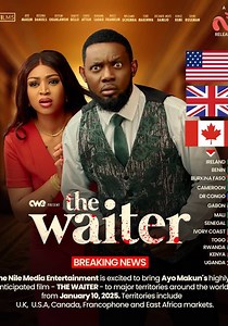 The Waiter streaming: where to watch movie online?
