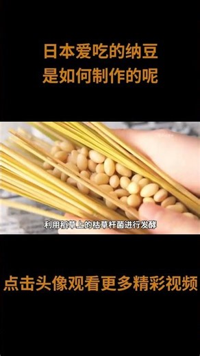 日本人爱吃的纳豆，是如何制作的呢？传统做法和现代做法有什么区别？#纳豆 #科普