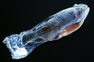 Comment cuire sous vide ?