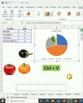 Use images inside the Pie Chart | Pie Charts with images #excel #graphic #dca #exceltips