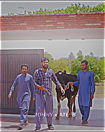 Qasai on Eid: Anari Qasai Eid ka Din (Part 2)