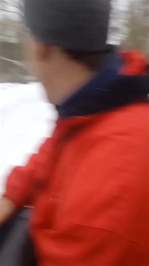 Horse Sledding Adventure in a Winter Wonderland